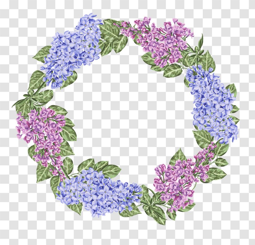 Watercolor Wreath Background - Hyacinth - Cornales Violet Family Transparent PNG