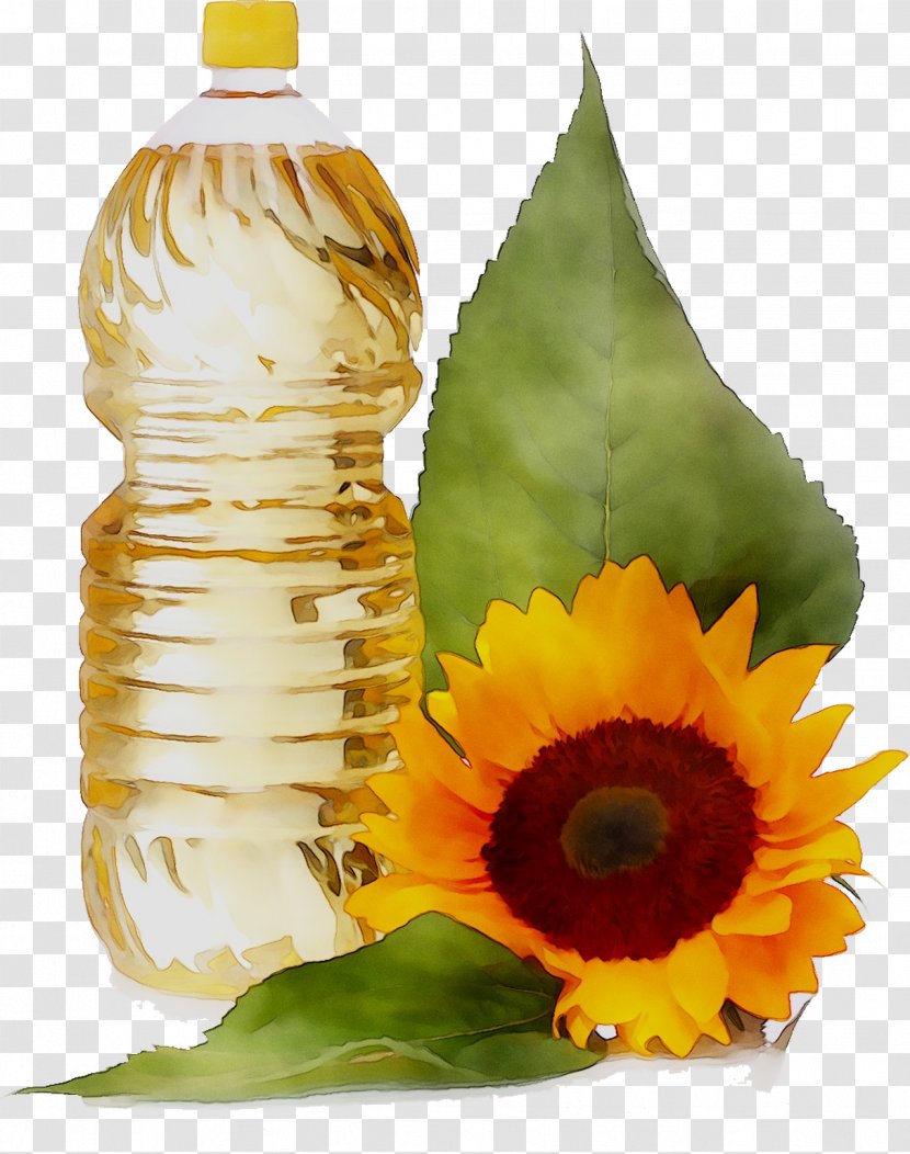 Common Sunflower Oil Vegetable Seed - Winterization Of Transparent PNG