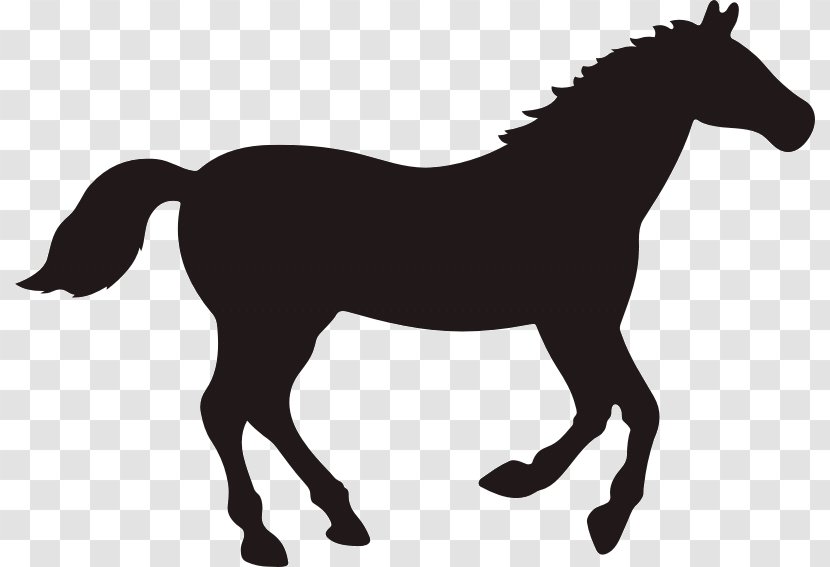 Rocky Mountain Horse Vector Graphics Clip Art Black - English Riding - Silhouette Transparent PNG