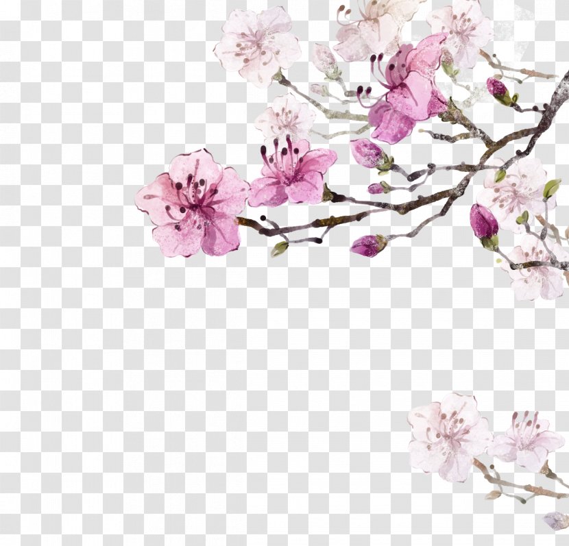Flower Clip Art - Branch - Flowers Transparent PNG