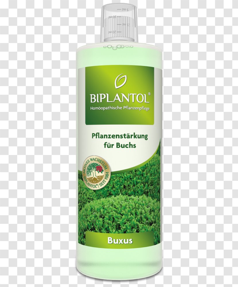 Buxus Sempervirens Liter Plants Pflanzenstärkungsmittel Homeopathy - 1000 300 Transparent PNG