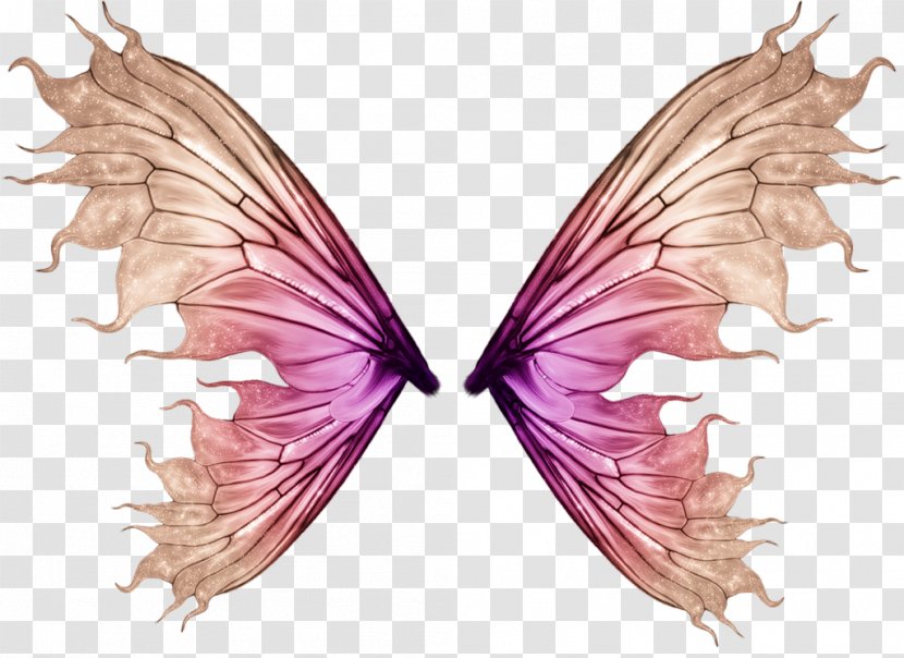 Clip Art - Drawing - Insect Transparent PNG