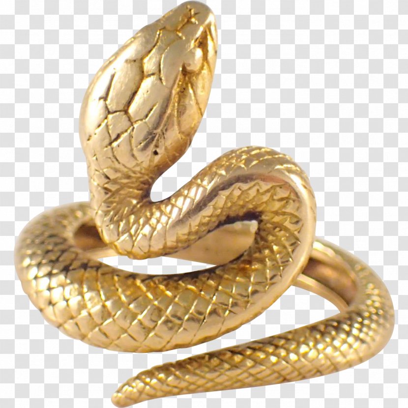 Rattlesnake Gold Reptile Vipers - Colored - Anaconda Transparent PNG
