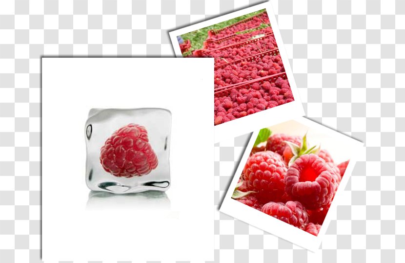 Red Raspberry Musk Strawberry Berries Transparent PNG