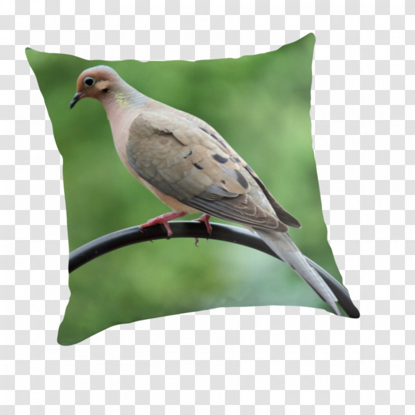 Throw Pillows Cushion Beak Fauna Feather - Mourning Transparent PNG