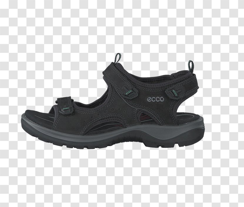 Shoe Sandal ECCO Clothing Footwear - Sports Shoes - Ecco For Women Transparent PNG