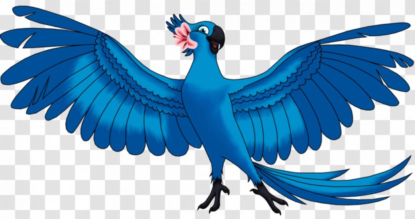 Macaw Cobalt Blue Feather Beak Wing Transparent PNG