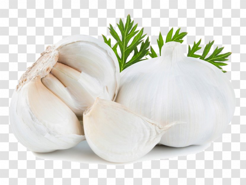 Solo Garlic Food Vegetable Onion Spice - Allicin Transparent PNG