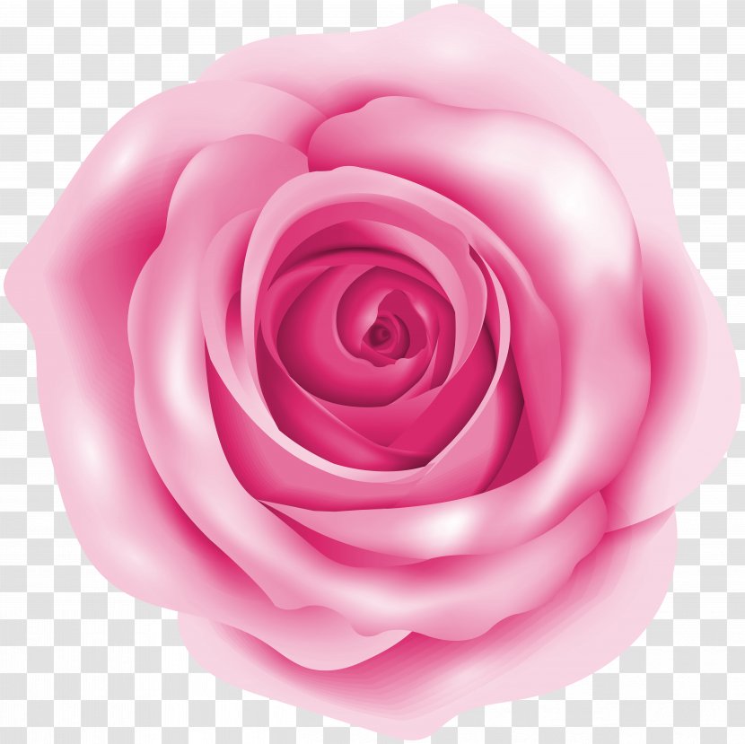 Rose Pink Clip Art Transparent PNG