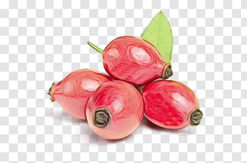 Pink Food Fruit Plant Vegetable - Paint - Superfood Radish Transparent PNG