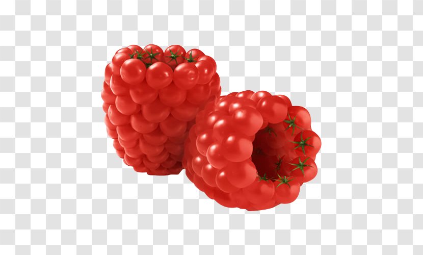 Advertising Agency Young & Rubicam Marketing Art Director - Raspberry - Tomato Mulberry Transparent PNG