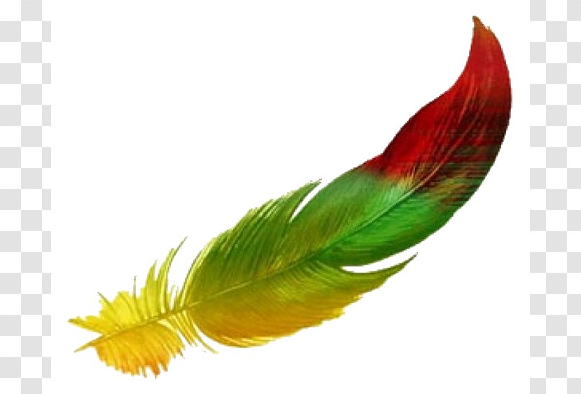 The Floating Feather Drawing Watercolor Painting Clip Art Transparent PNG