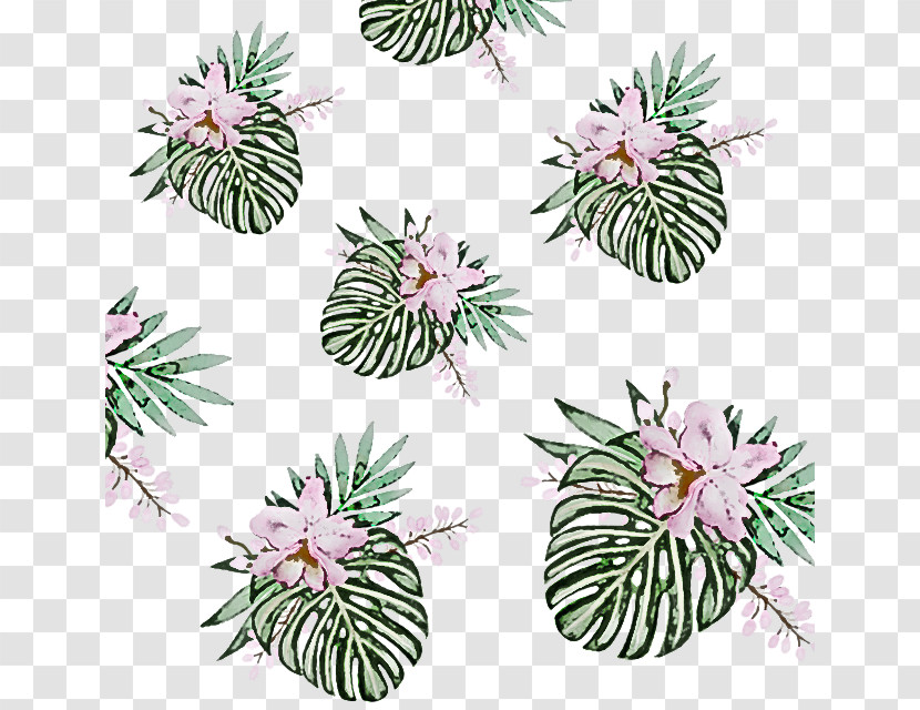 Plant Flower Pattern Wildflower Transparent PNG