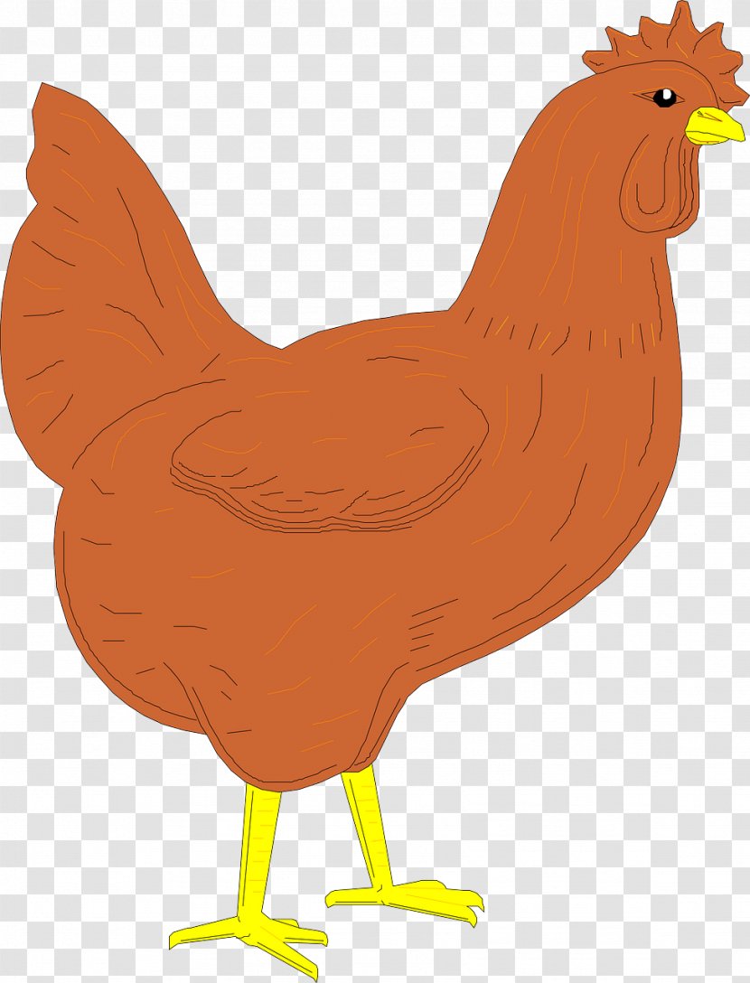 Rooster Clip Art - Wing - Chicken Face Transparent PNG