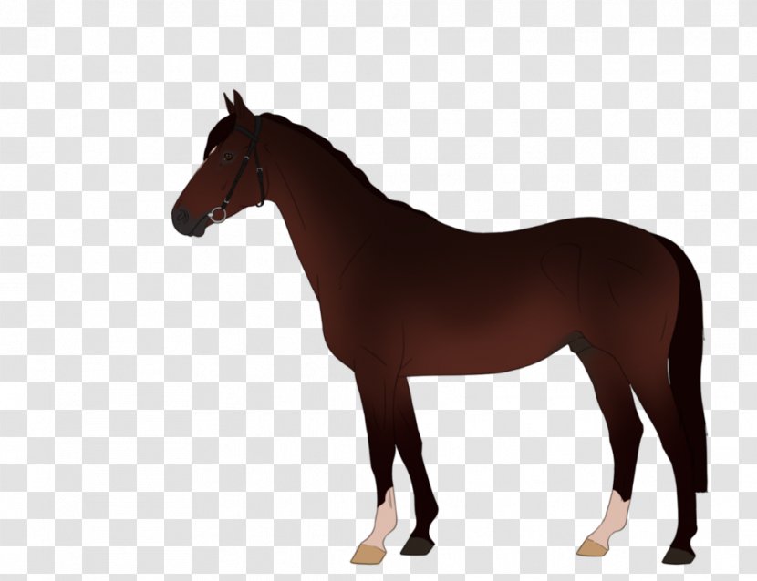 Horse Pony Equestrian Clip Art - Tack Transparent PNG