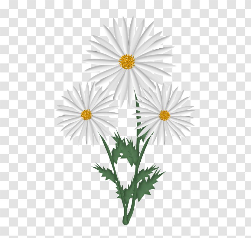 Flower Oxeye Daisy Samsung Galaxy A5 (2016) German Chamomile - Fractal Transparent PNG