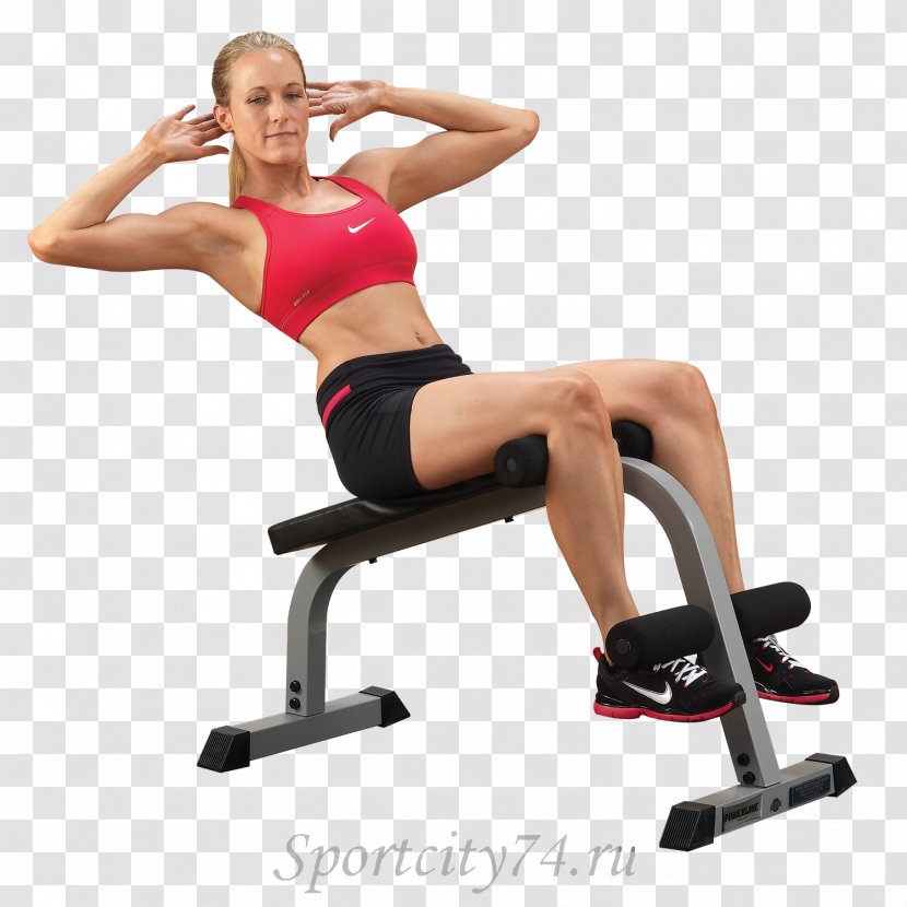 Crunch Bench Sit-up Abdominal Exercise Equipment - Tree - Fitness Transparent PNG