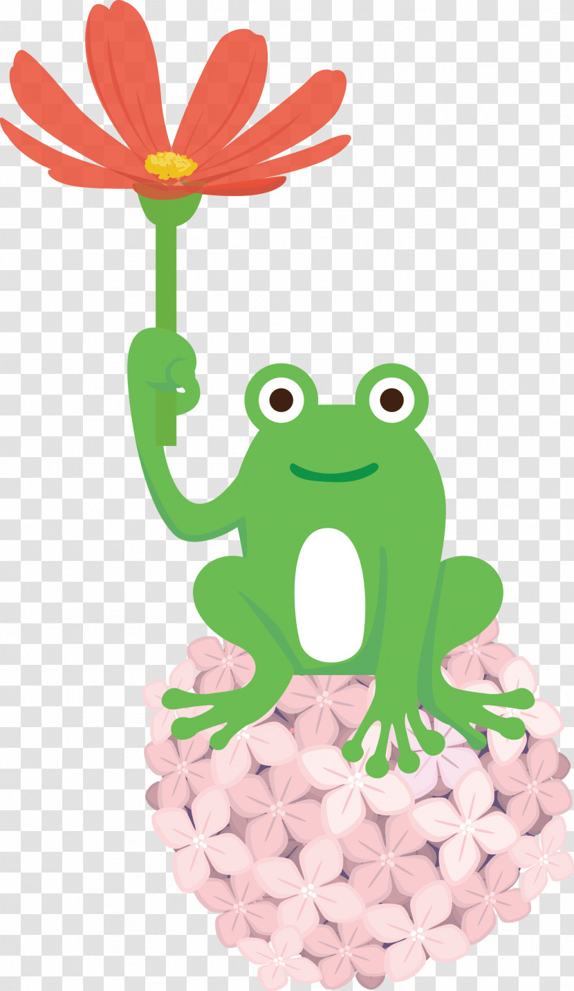 Frogs Cartoon Tree Frog Flower Science Transparent PNG