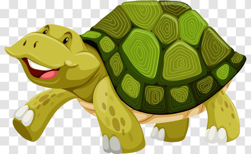 Turtle Shell Illustration - Stock Photography - Happy Little Transparent PNG