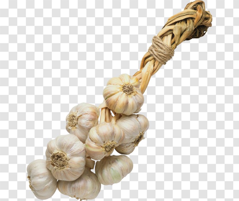 Garlic Seasoning Spice Vegetable - Onion Transparent PNG