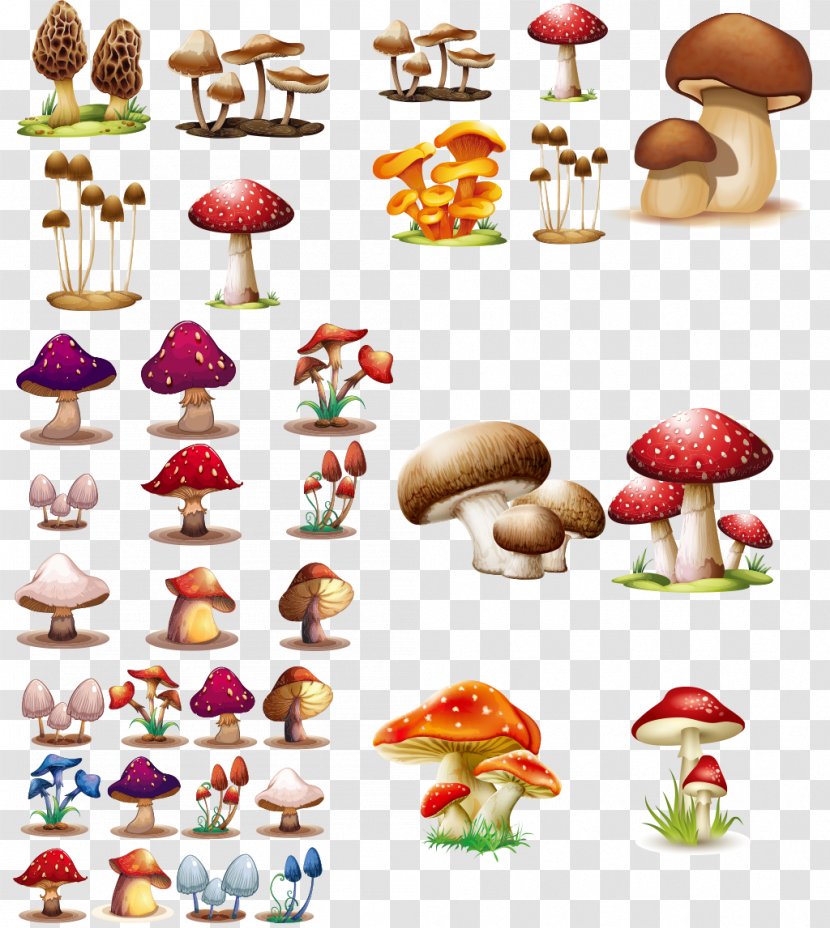 Mushroom Fungus Clip Art - Product Design Transparent PNG