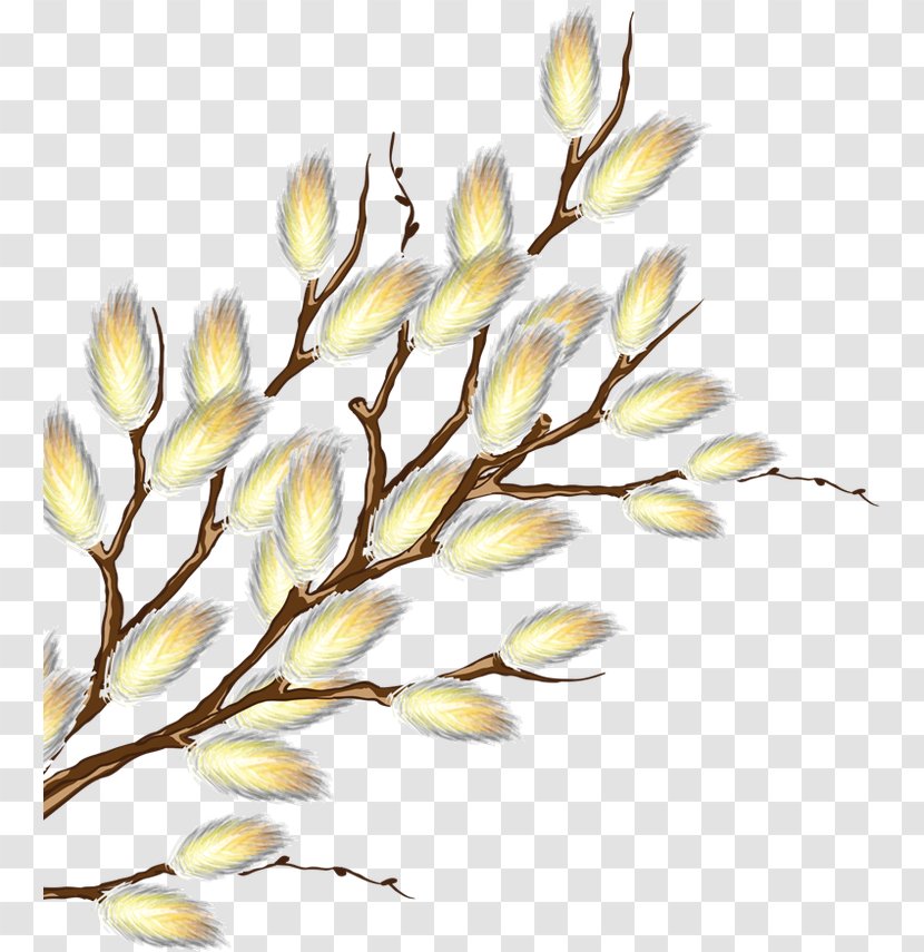 Tree - Flower - Drawing Transparent PNG