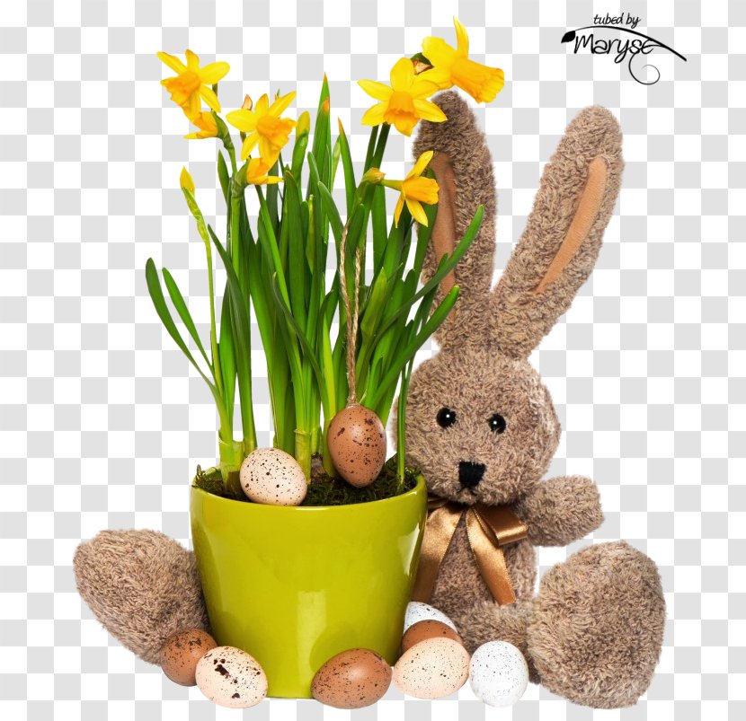 Easter Bunny Flowerpot Grasses - Rabbit - Flower Transparent PNG