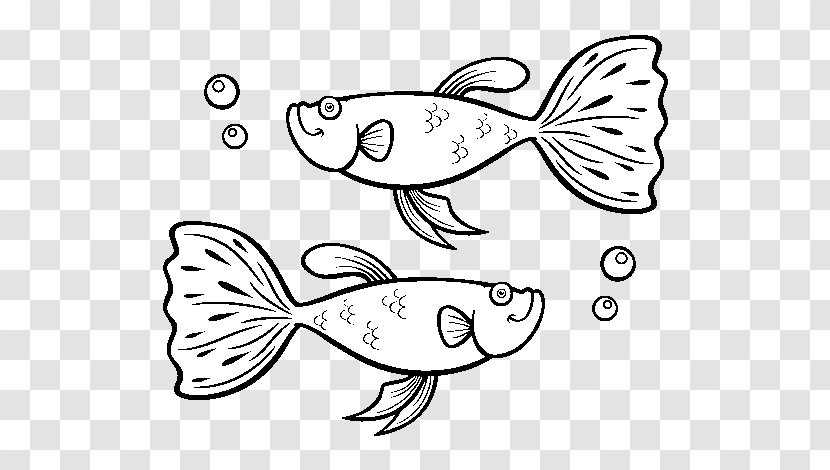 Guppy Coloring Book Siamese Fighting Fish Drawing Transparent PNG