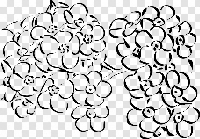 Flower Bouquet Poppy Clip Art - Drawing Transparent PNG
