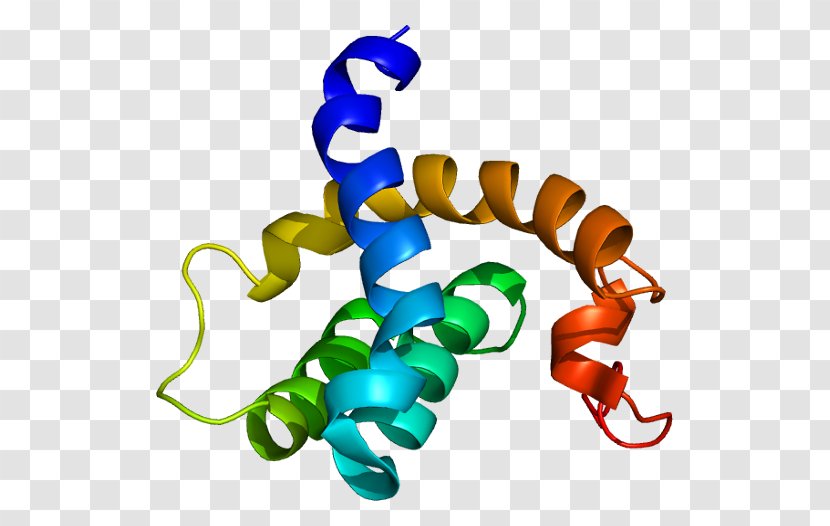 CBFA2T3 Protein Gene UniProt Transcription Factor - Flower - Silhouette Transparent PNG