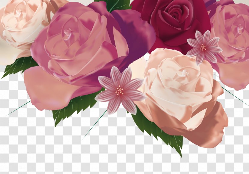 Centifolia Roses Garden Floribunda Floral Design Flower Bouquet - Rose Transparent PNG