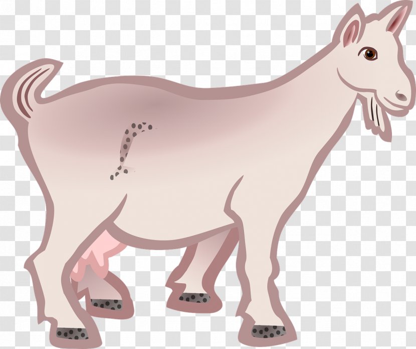 Boer Goat Line Art Sheep Clip - Animal Figure Transparent PNG