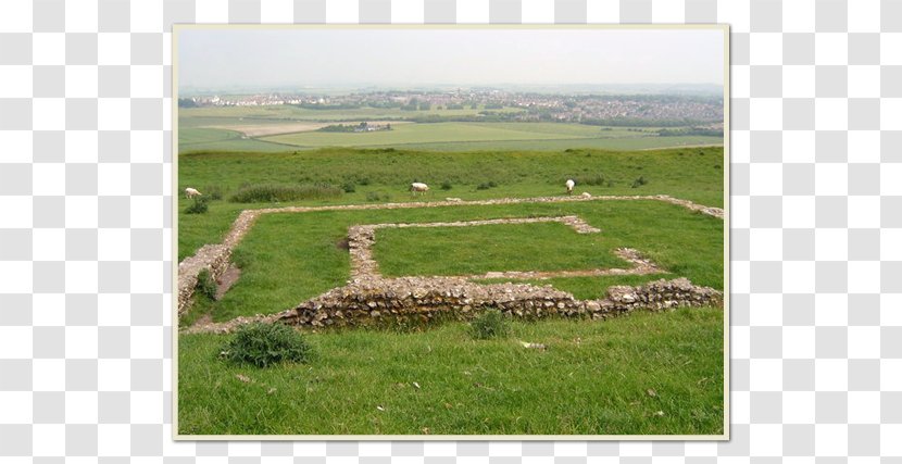 Maiden Castle, Dorset Archaeological Site Maumbury Rings Tumulus - Grassland - Roman Temple Transparent PNG