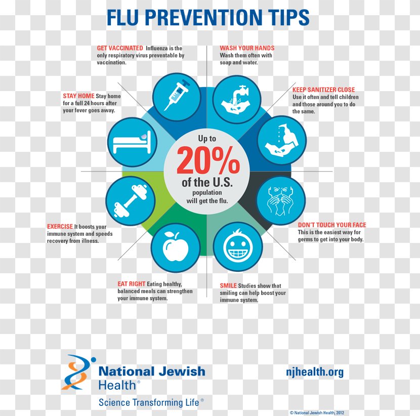Centers For Disease Control And Prevention Influenza Vaccine Health Care - Vaccination - Education Infographics Transparent PNG