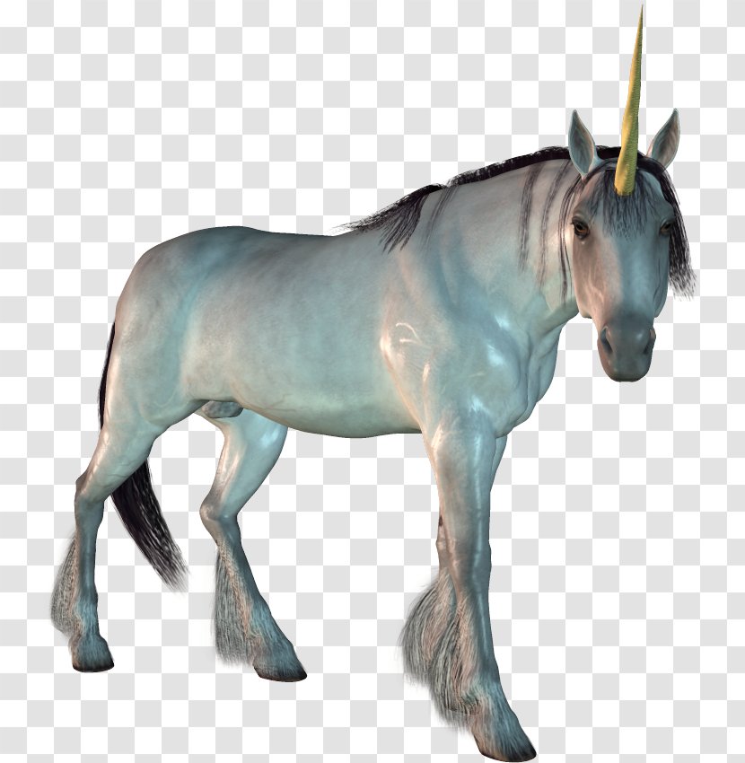Mustang Stallion Mule Mare Unicorn - Horse Transparent PNG