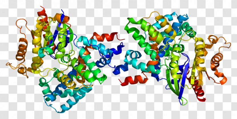 Thymidine Kinase 1 Protein GNAT1 Rod Cell - Structure Transparent PNG