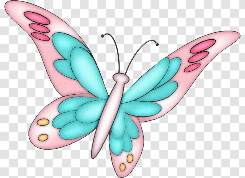 Butterfly Clip Art - Organism - Happy Time Transparent PNG