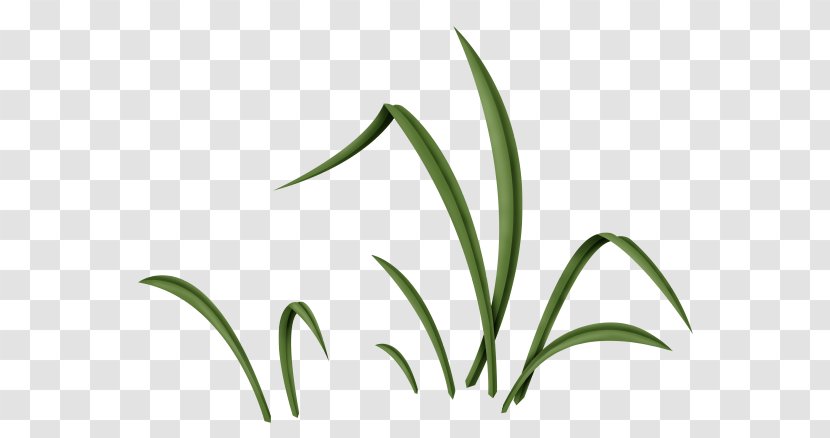 Leaf Bugs Bunny Babs Easter Clip Art - Grass - Greenery Clipart Plant Transparent PNG
