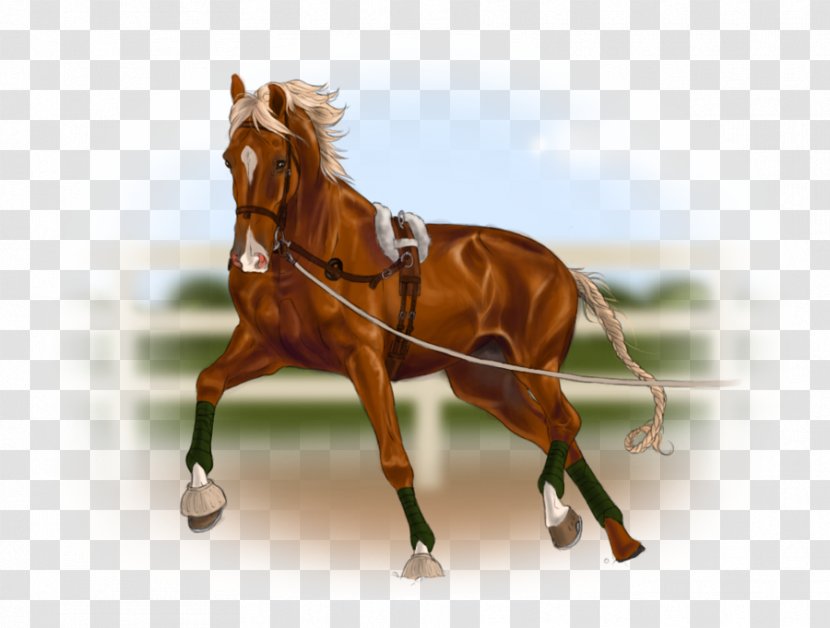Horse Harnesses Stallion Gait Rein Transparent PNG