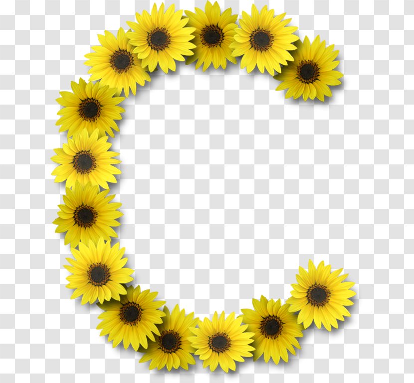 Common Sunflower Letter Case Alphabet G - Sunflowers - Flower Transparent PNG
