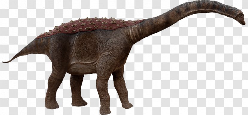 Saltasaurus Dinosaur Late Cretaceous Sauropoda Titanosaur Transparent PNG