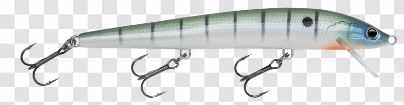 Fishing Baits & Lures Topwater Lure Transparent PNG