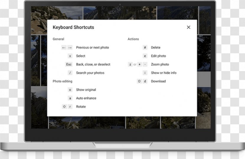 Google Photos Images Drive Search Transparent Png Google Photos Images Drive Search Transparent Png