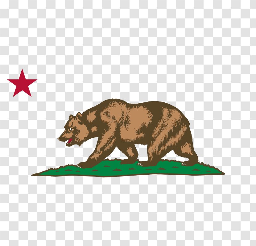 Flag Of California Republic Grizzly Bear - Symbol Transparent PNG