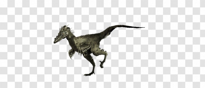 Velociraptor Tyrannosaurus White Animal - Wing - Troodon Transparent PNG