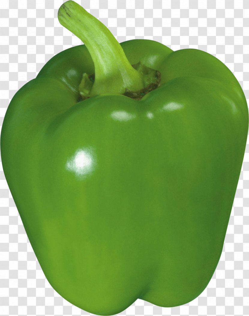 Bell Pepper Chili Jalapeño - Paprika - Green Image Transparent PNG