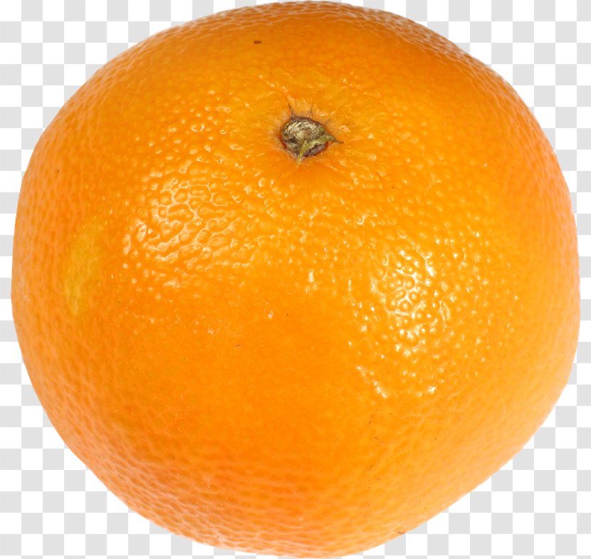 Blood Orange Tangerine Clementine Tangelo Mandarin - Valencia - Grapefruit Transparent PNG