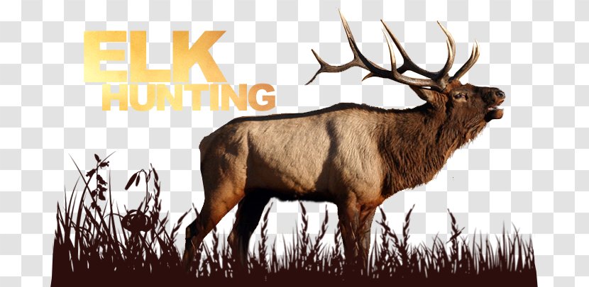 Elk Deer Hunting Wildlife - Silhouette Transparent PNG