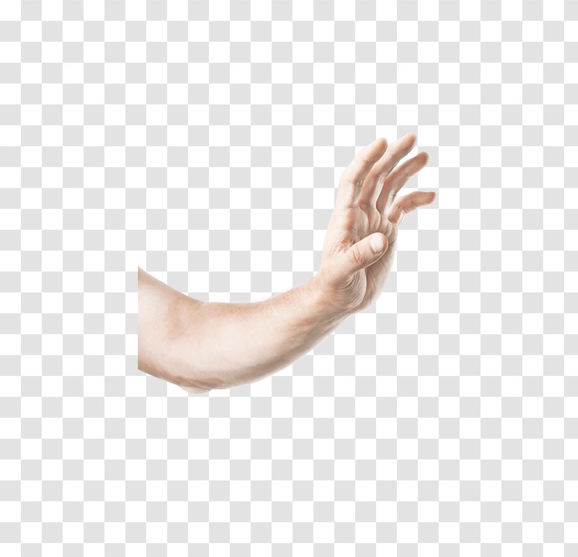 Thumb Genotek Moscow State University Main Building Hand Model Elbow - Heart - Flower Transparent PNG