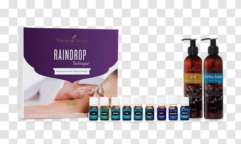 Raindrop Technique Young Living Essential Oil Massage Aromatherapy - Aroma Therapy Transparent PNG